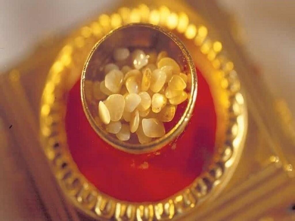 Một số quan điểm khoa học về sự hình thành xá lợi