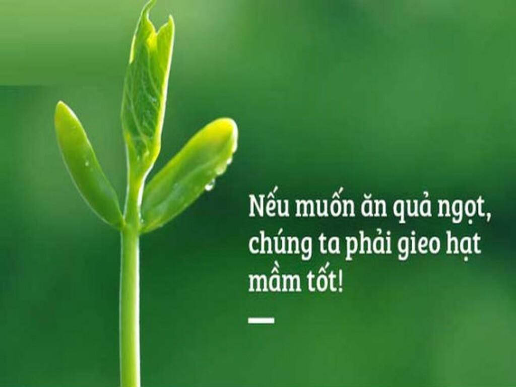 Vận mệnh con người có thực sự cố định không?