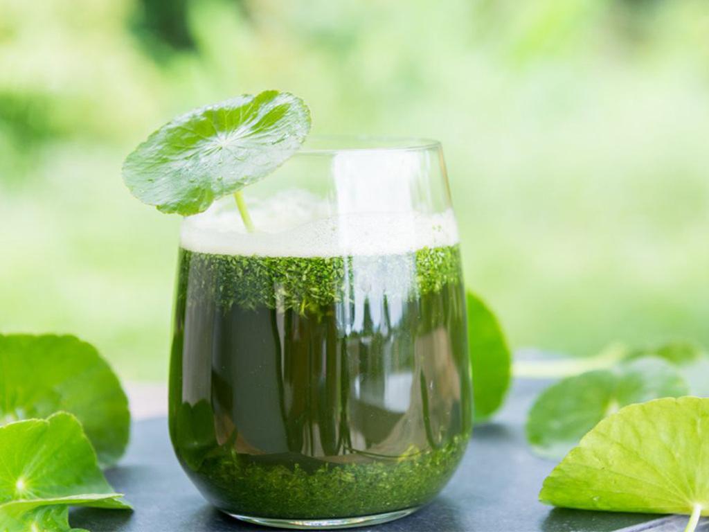 Vì sao nên uống rau má kết hợp với nguyên liệu khác?