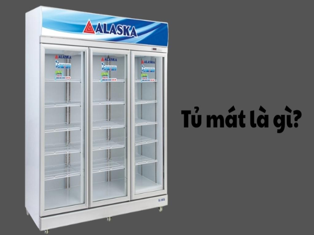 Phân biệt tủ mát và tủ lạnh: cấu tạo và chức năng