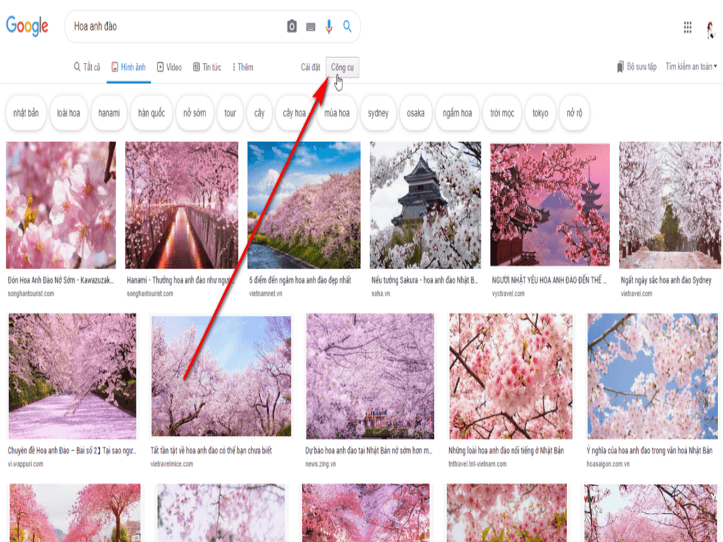Mẹo tìm ảnh chất lượng cao và đúng nội dung