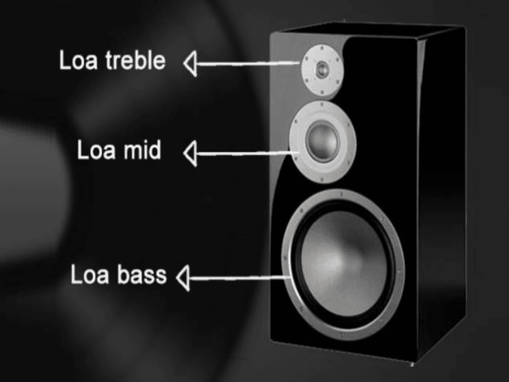 Bass và treble là gì? Tại sao cần chỉnh?