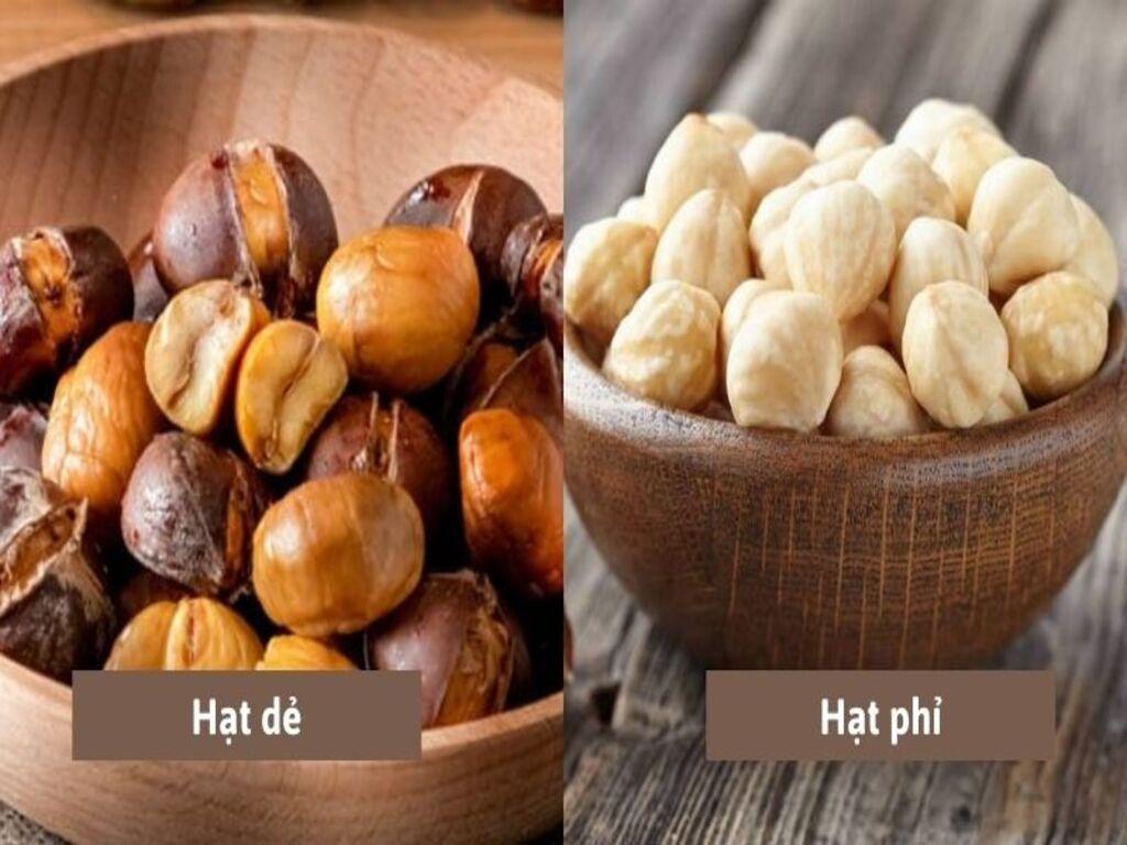 So sánh tác dụng của hạt dẻ và hạt phỉ với sức khỏe