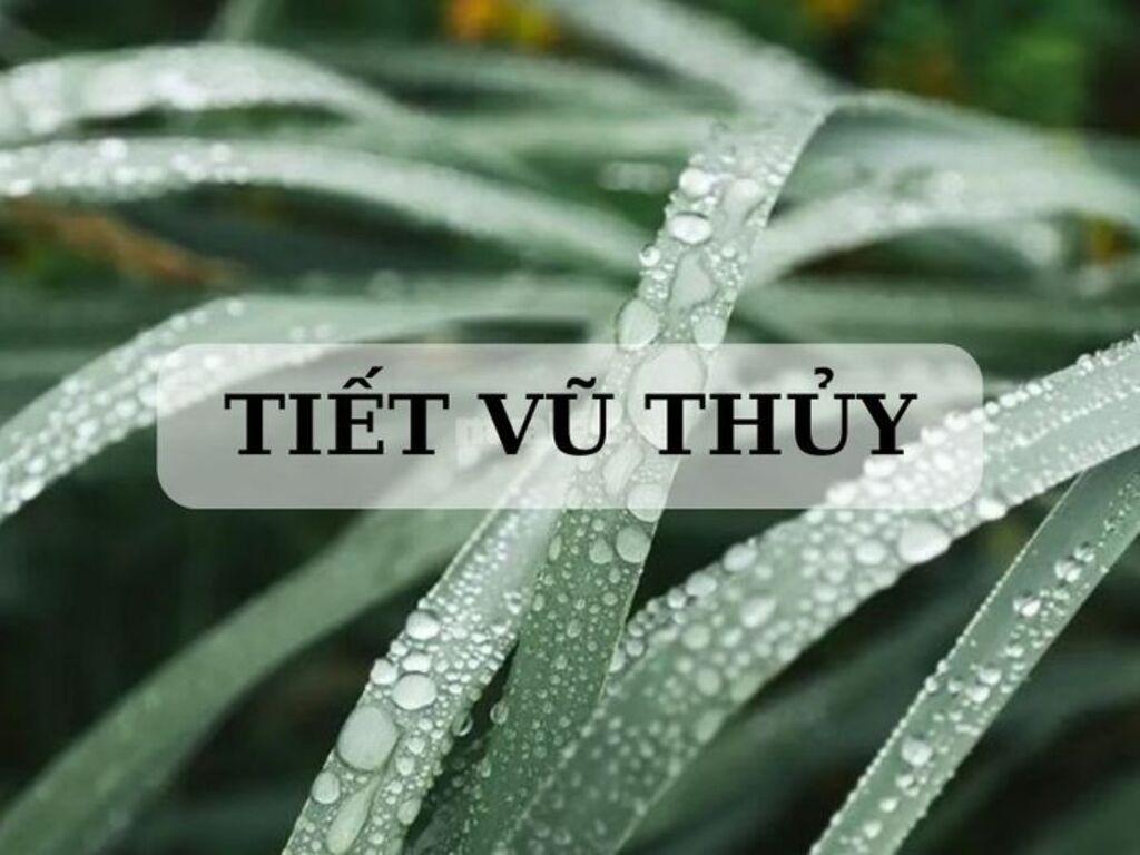 Tiết Vũ Thủy là gì? Giải thích tên gọi và đặc điểm khí hậu