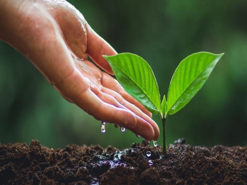 So sánh tiết Vũ Thủy và tiết Kinh Trập trong năm