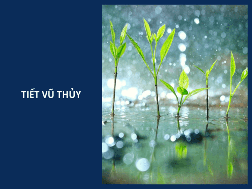Khái niệm và nguồn gốc của ý nghĩa của tiết Vũ Thủy
