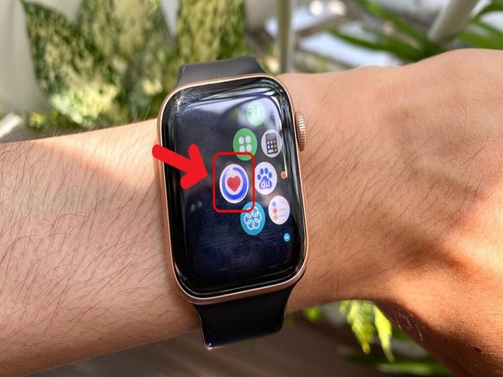 Cách đo huyết áp trên Apple Watch chính xác