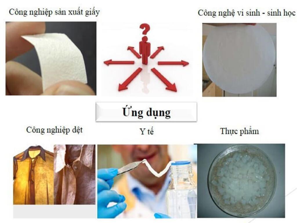 Ứng dụng của Cellulose có ở đâu trong thực tế