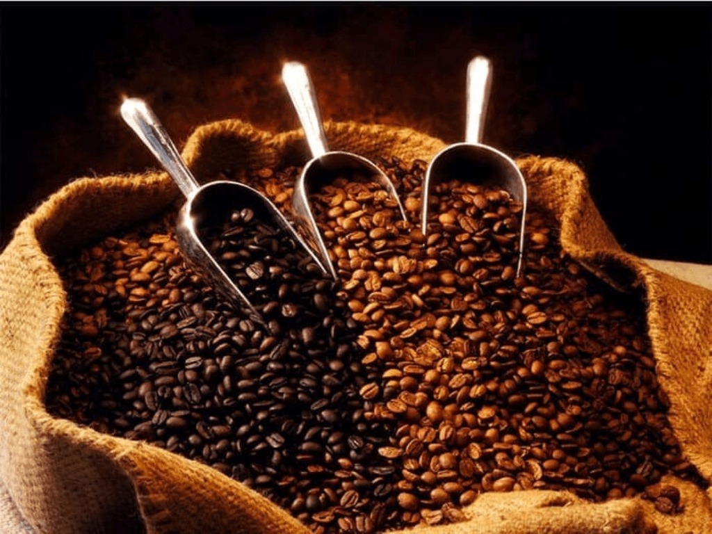 cac-muc-xay-ca-phe-pho-bien-va-dac-diem-tung-loai