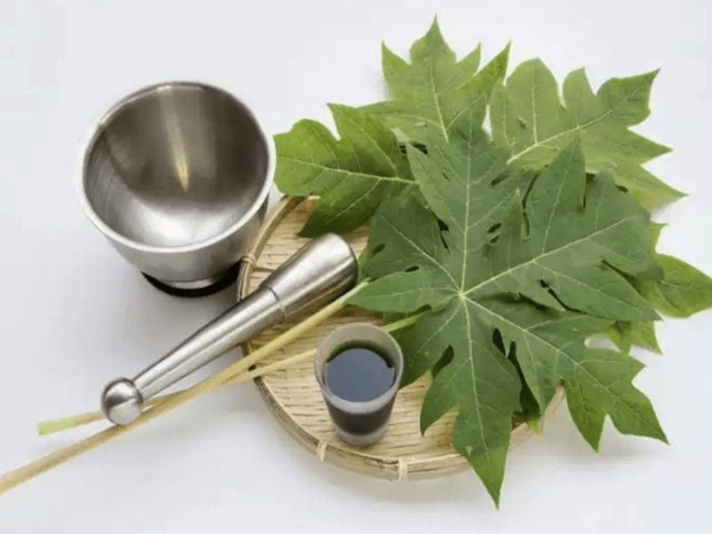 luu-y-khi-dung-la-du-du-xao-toi