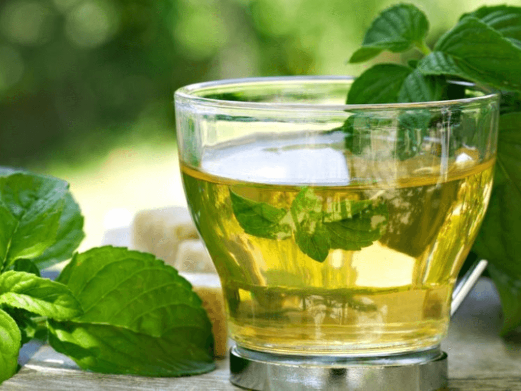 cach-lam-tra-bac-ha-tuoi-thuc-tinh-moi-giac-quan