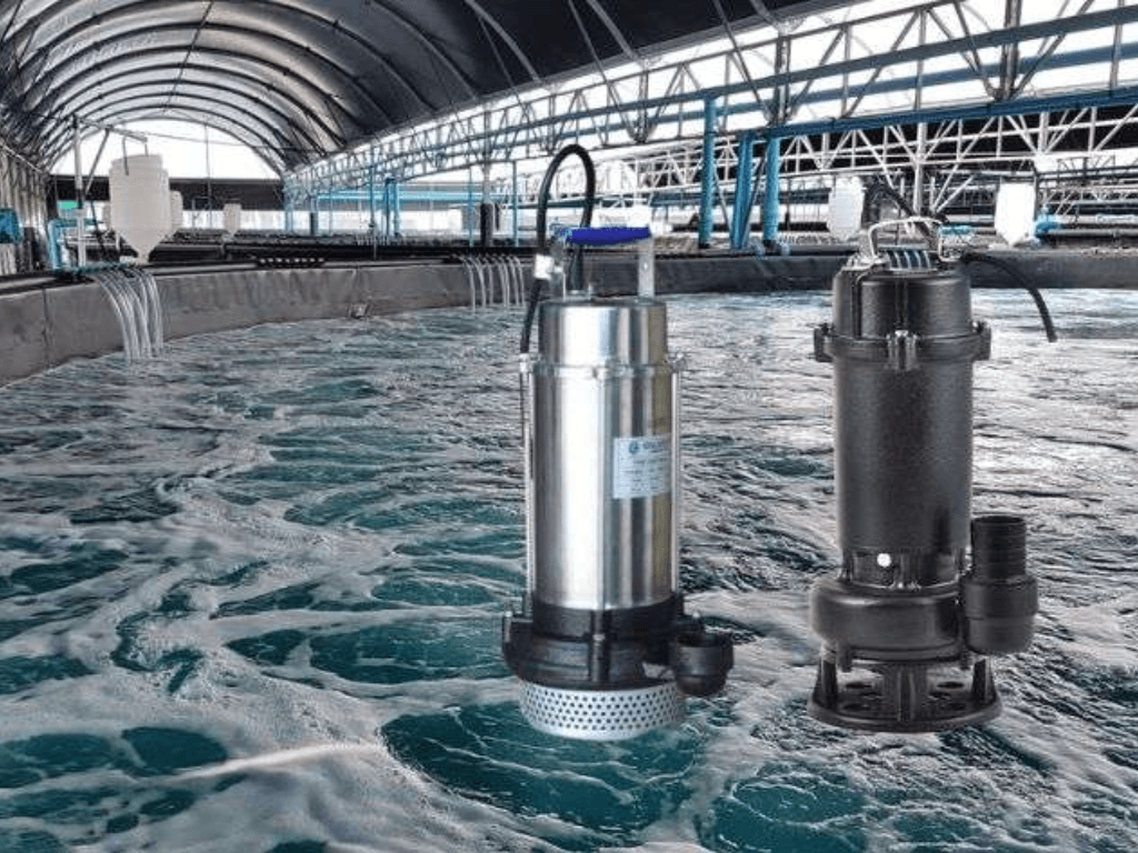 vi-sao-may-bom-chim-duoc-goi-la-vua-thoat-nuoc-mua-mua-lu