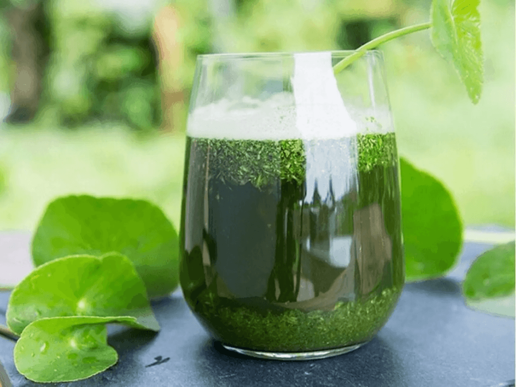 goi-y-bien-tau-sinh-to-rau-ma-theo-tung-nhu-cau