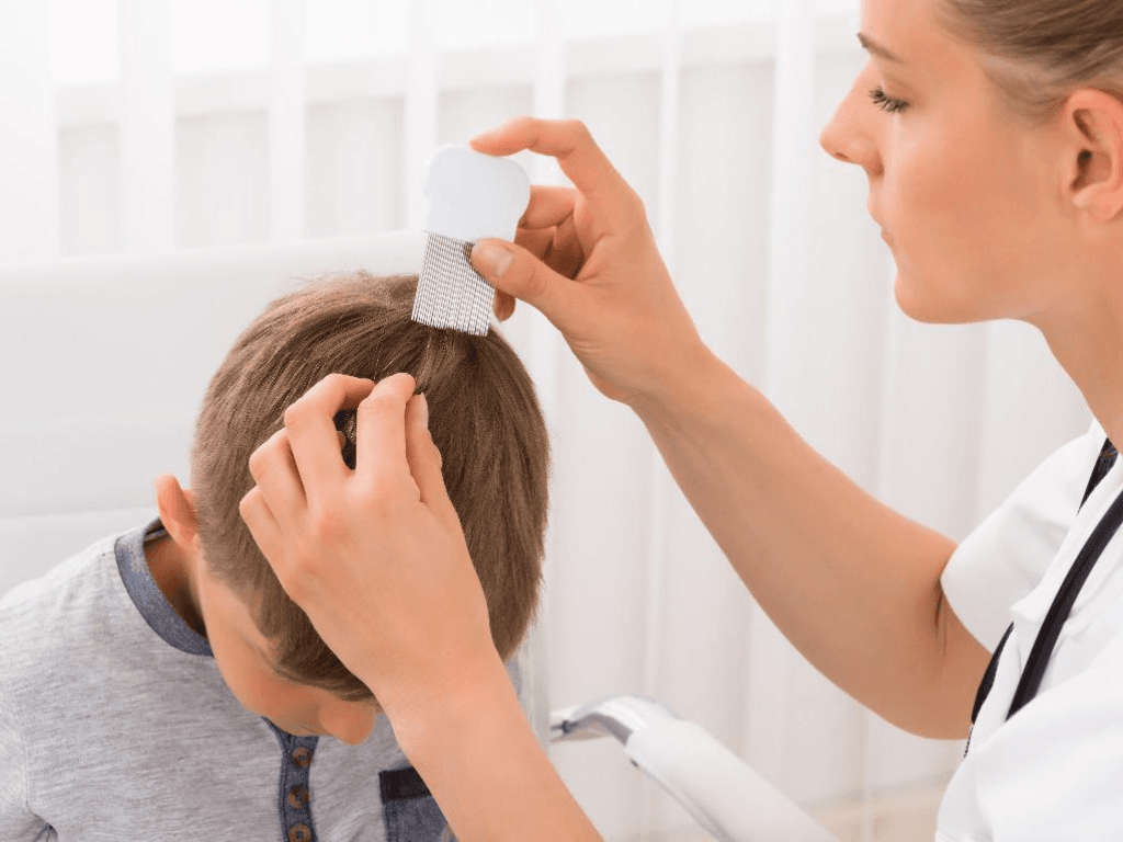 huong-dan-chi-tiet-cach-diet-chay-bang-may-say-tai-nha