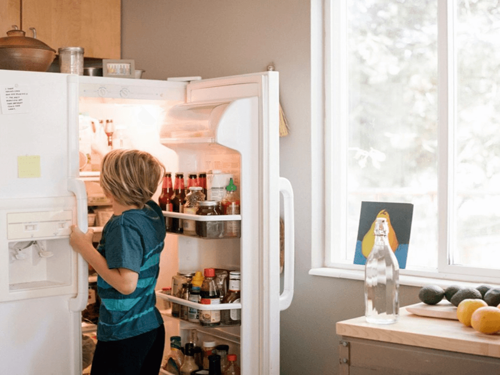 tac-hai-khi-tu-lanh-bi-lanh-yeu-neu-khong-xu-ly-kip-thoi