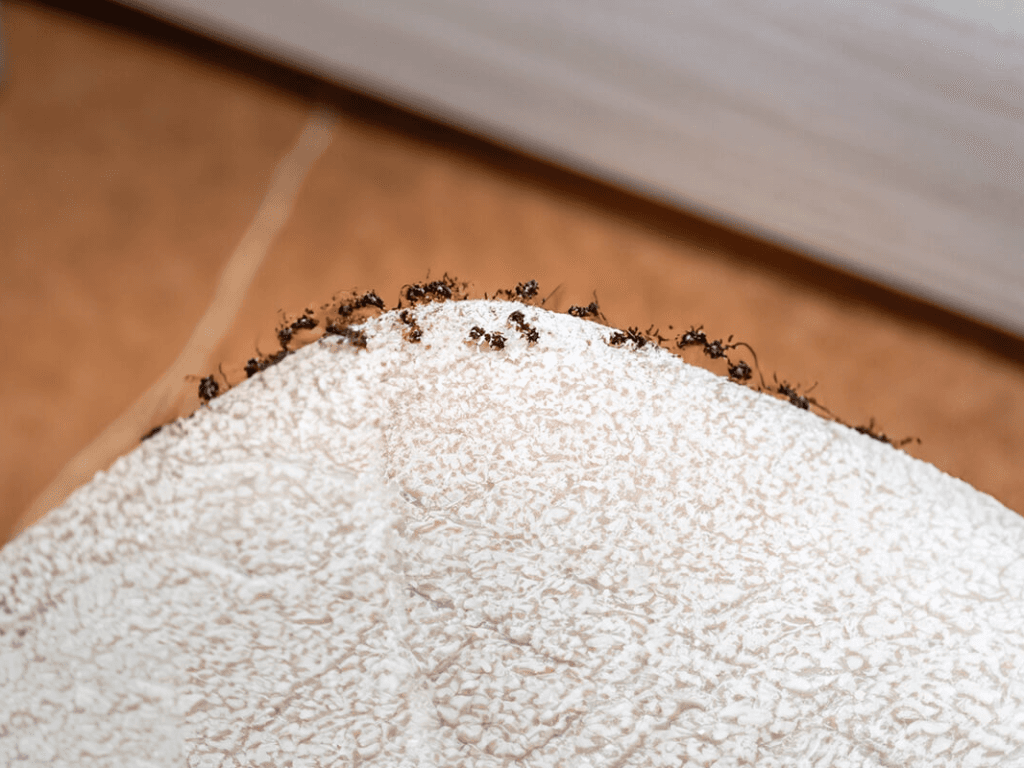 tai-sao-kien-cu-thich-ghe-choi-nha-ban