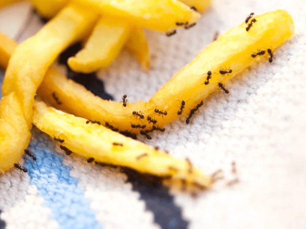 khi-nao-nen-nho-den-dich-vu-chuyen-nghiep