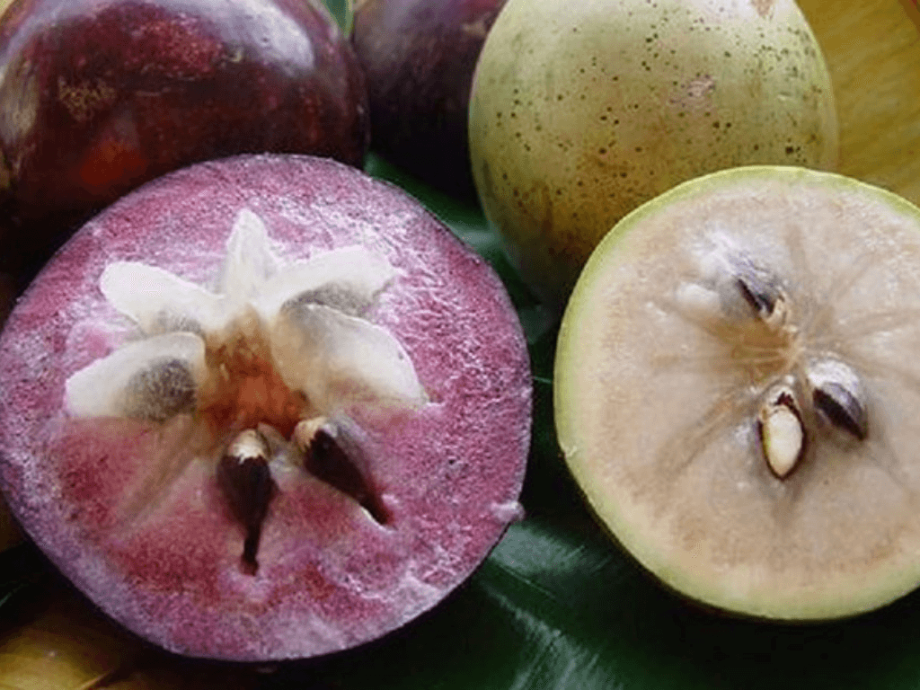 khi-nao-nen-han-che-an-vu-sua-nhung-ai-can-luu-y