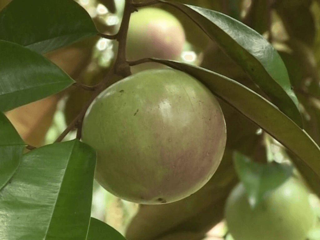 an-bao-nhieu-vu-sua-la-vua-goi-y-khau-phan-hop-ly