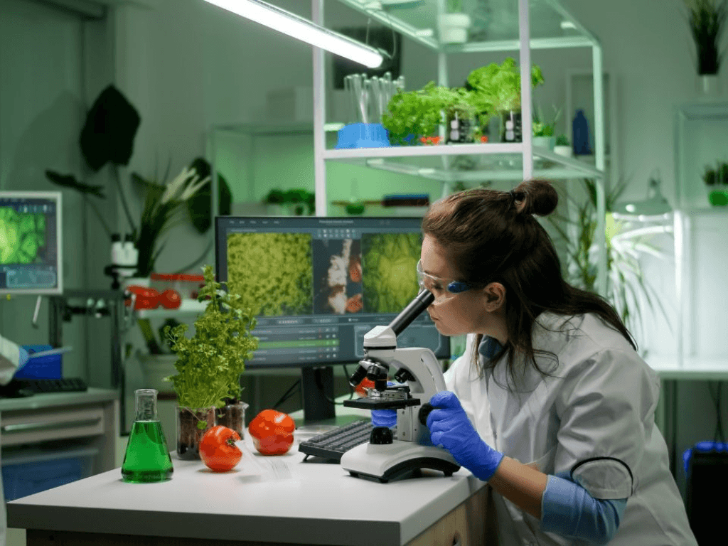 khoi-b-gom-nhung-mon-nao-co-gi-khac-voi-cac-khoi-con-lai