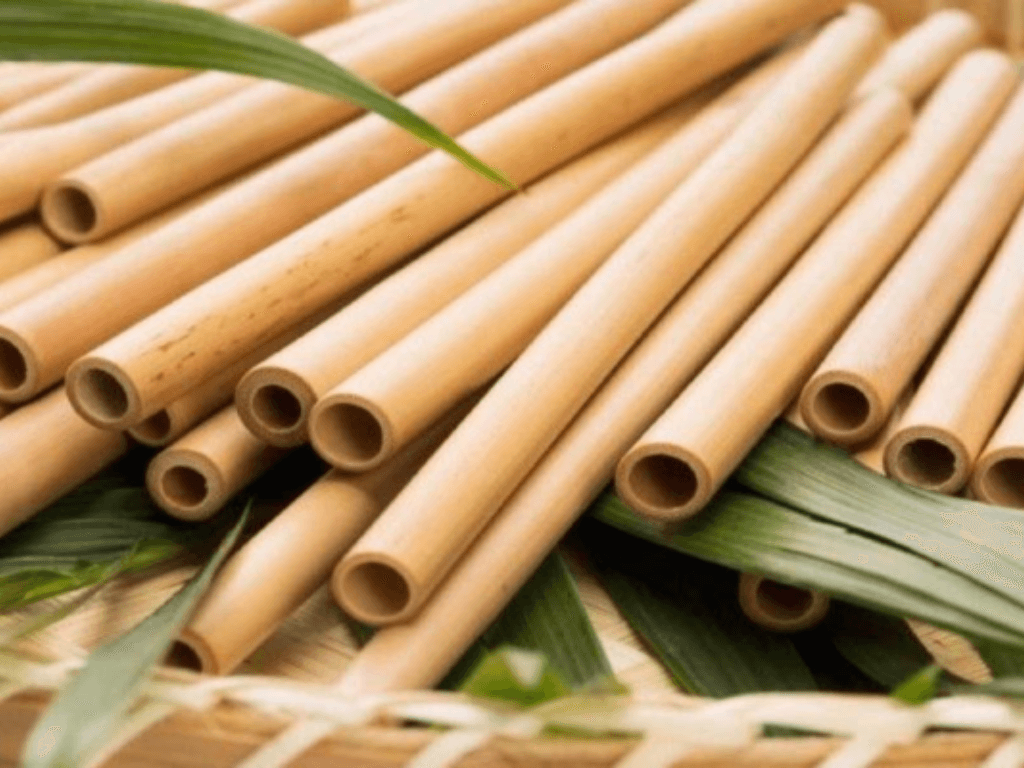 vi-sao-nen-tu-lam-ong-hut-than-thien-voi-moi-truong