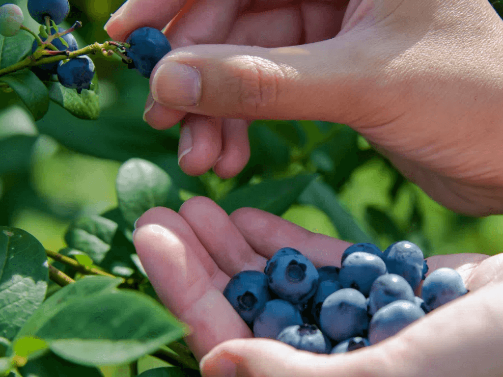 cach-dung-viet-quat-hieu-qua-va-luu-y-khi-su-dung