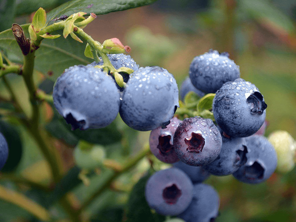 tac-dung-voi-doi-mat-bao-ve-thi-luc-giam-moi-mat