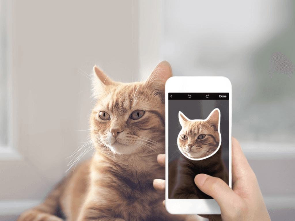 sticker-ca-nhan-tren-messenger-la-gi-va-vi-sao-dang-gay-sot