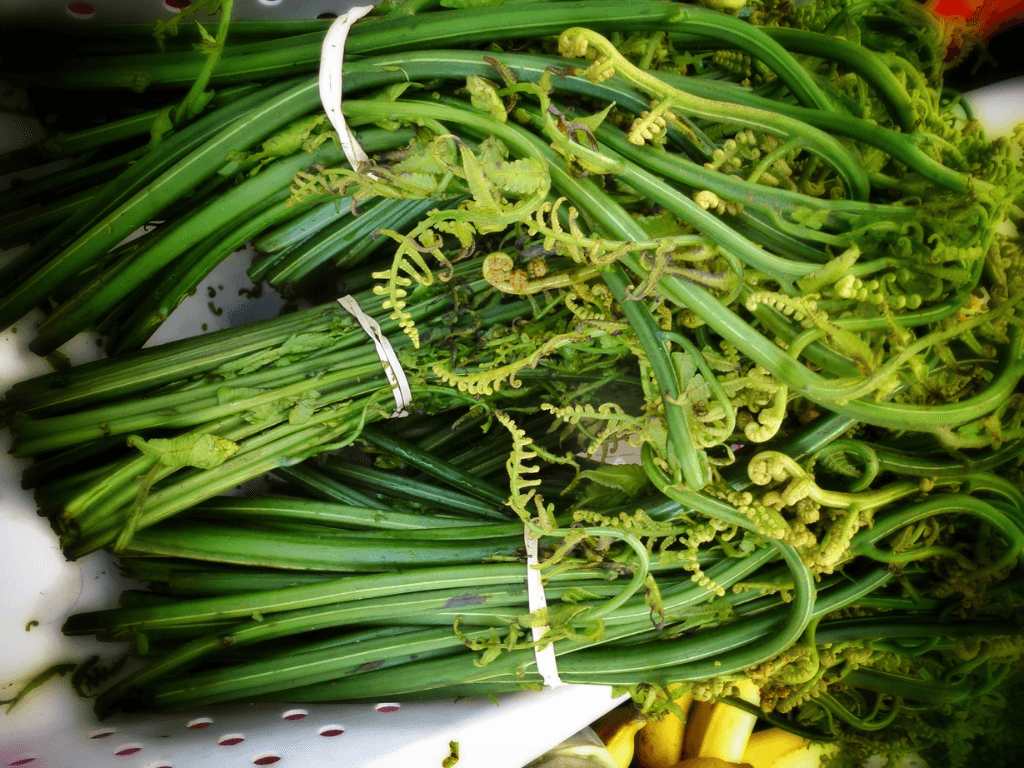 nhung-mon-an-hap-dan-tu-duong-xi-khien-fan-am-thuc-me-met