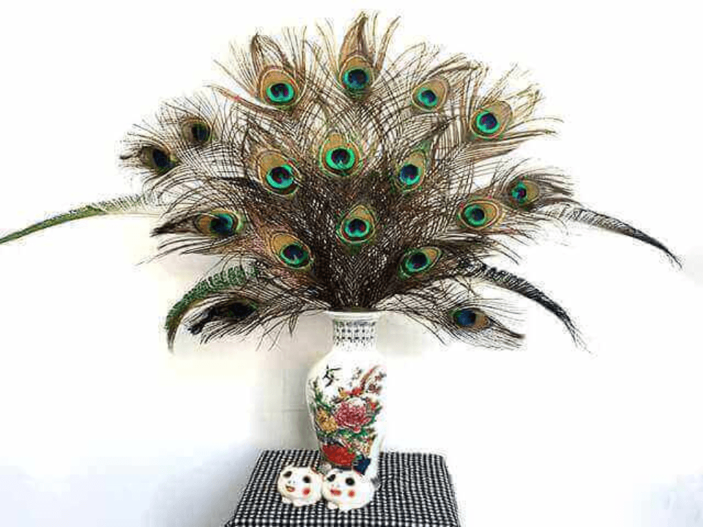 so-luong-va-cach-cam-long-cong-chuan-phong-thuy