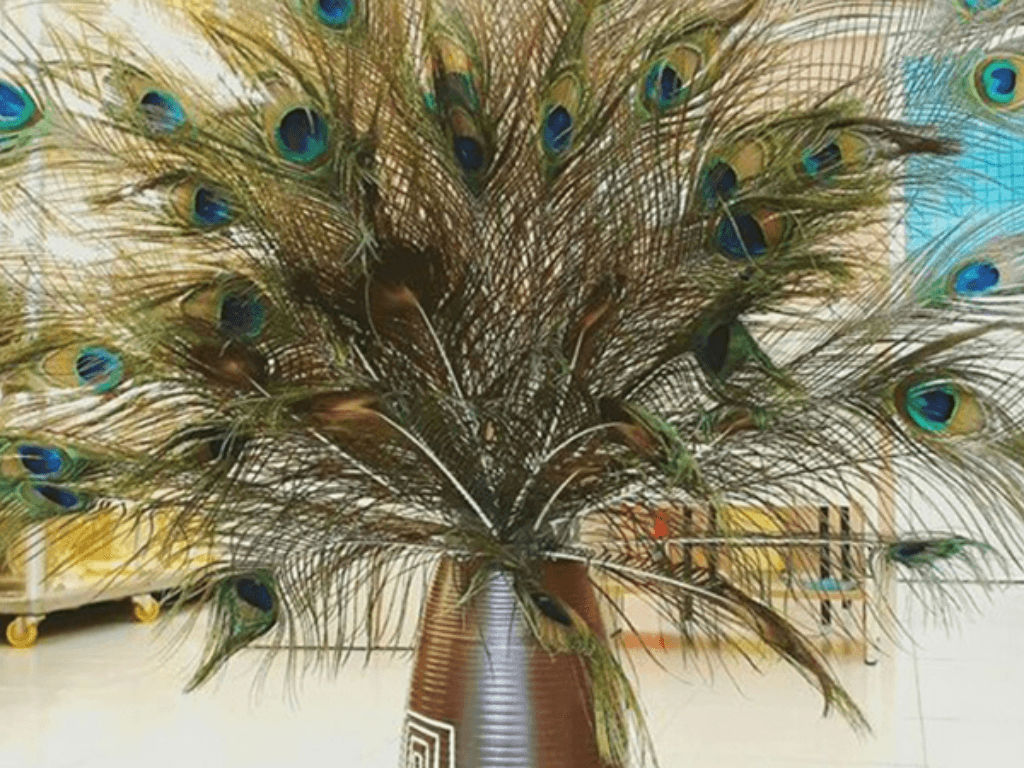 long-cong-trong-phong-thuy-bieu-tuong-cua-may-man-va-quyen-luc