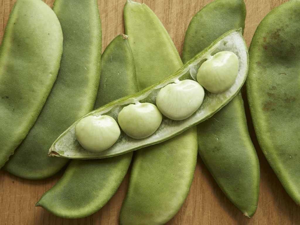 cach-su-dung-dau-van-trong-doi-song-hang-ngay