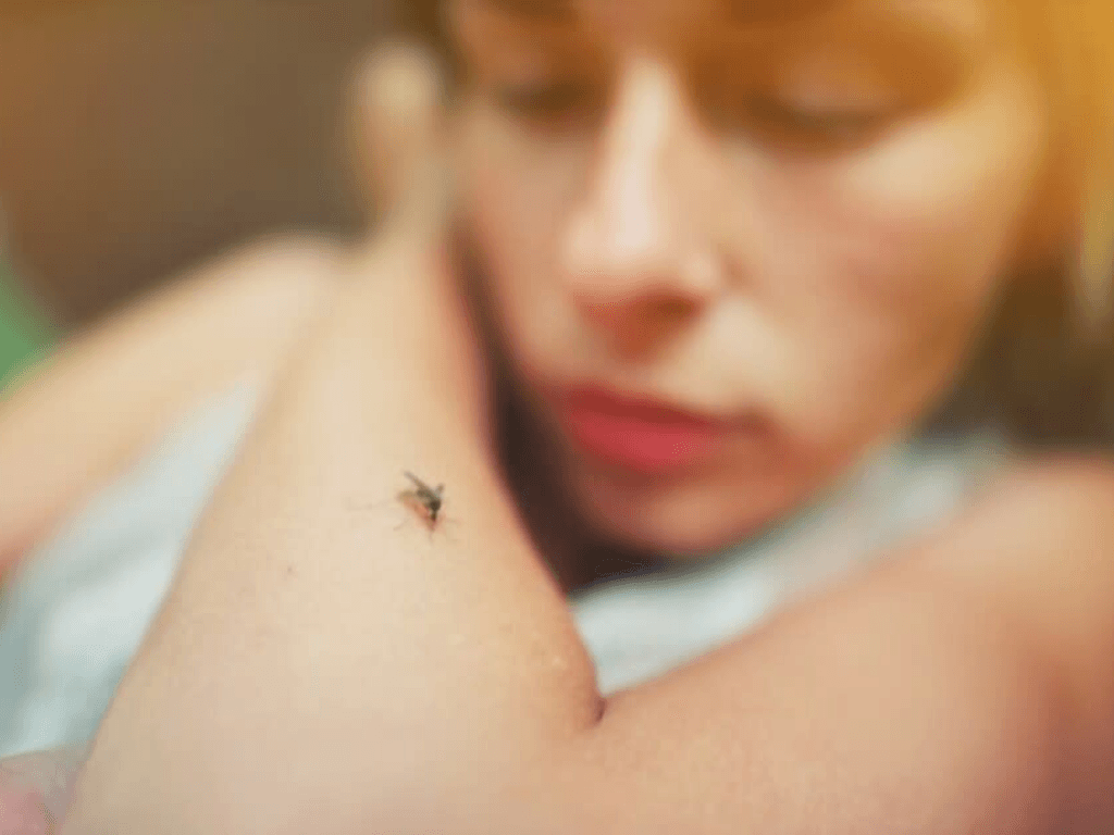 muoi-chon-nguoi-can-va-chung-co-gu-that-su