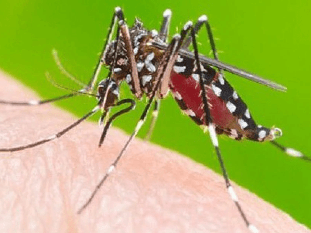 mot-so-yeu-to-it-ngo-toi-nhung-cung-khien-ban-nam-trong-tam-ngam