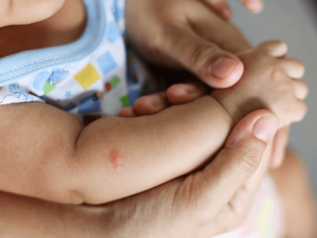 bi-quyet-ne-muoi-bang-meo-dan-gian-va-nguyen-lieu-tu-nhien