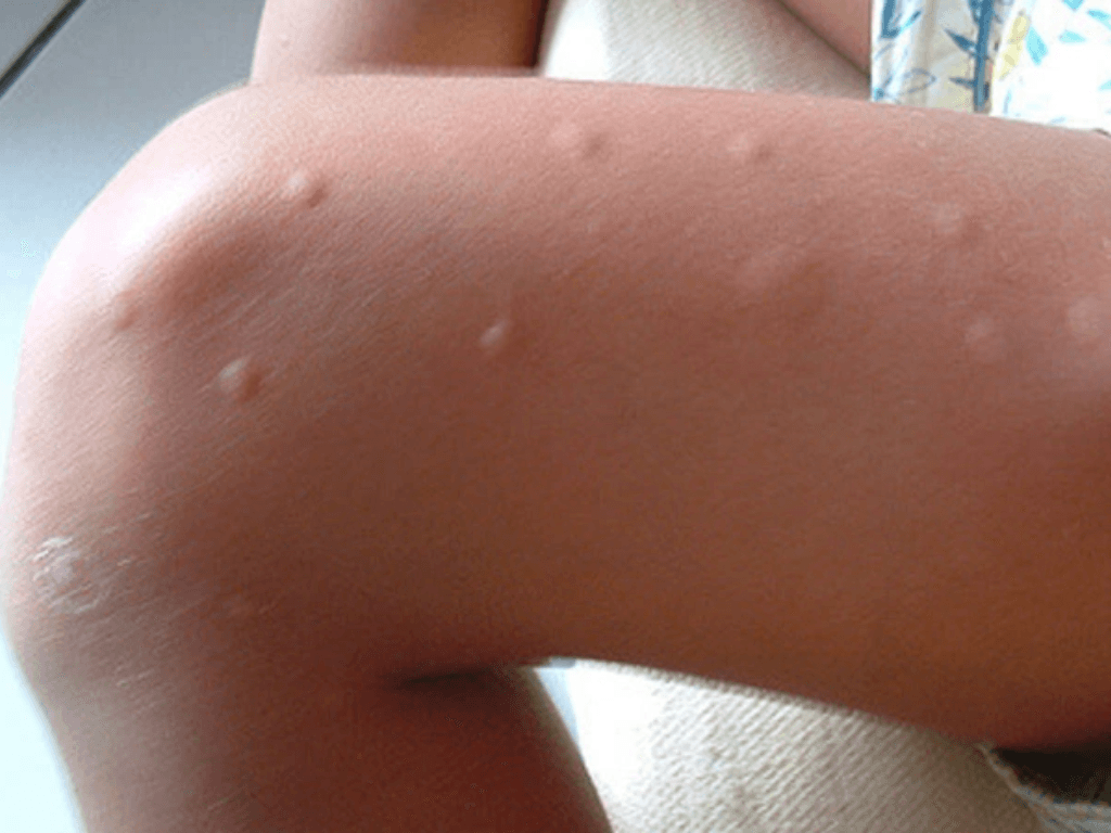 vi-sao-ban-luon-la-con-moi-ngon-cua-muoi