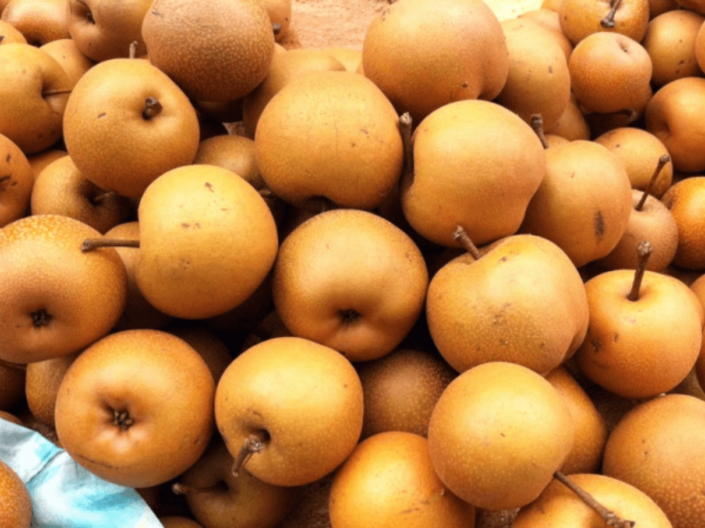 qua-mac-cop-la-qua-gi-hinh-dang-va-nguon-goc-dac-biet