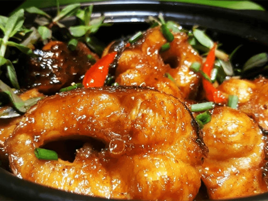 ca-ngat-la-ca-gi-tai-sao-nen-chon-ca-ngat-de-kho