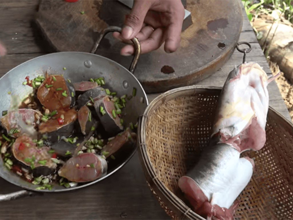 cac-buoc-lam-ca-ngat-kho-chuan-vi-dinh-cua-chop