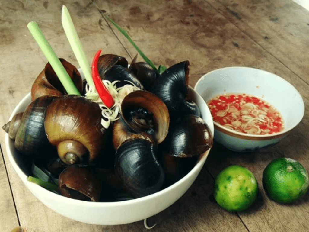 chon-nguyen-lieu-tuoi-ngon-bi-quyet-dau-tien-de-mon-oc-hap-khong-tanh