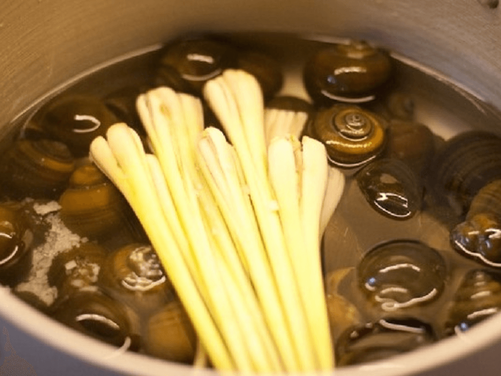 so-che-oc-dung-cach-loai-bo-nhot-va-mui-tanh-hieu-qua