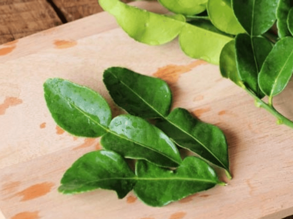 la-chuc-la-gi-loai-la-chanh-ma-khong-phai-chanh-dac-trung-mien-tay