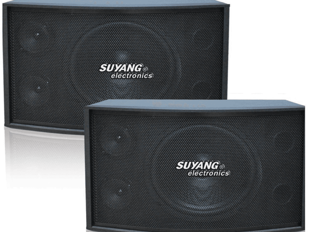 gioi-thieu-thuong-hieu-loa-suyang-tan-binh-hay-an-so