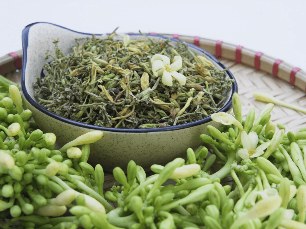 goc-nhin-khoa-hoc-bac-si-bai-thuoc-quy-hay-hieu-ung-tam-ly