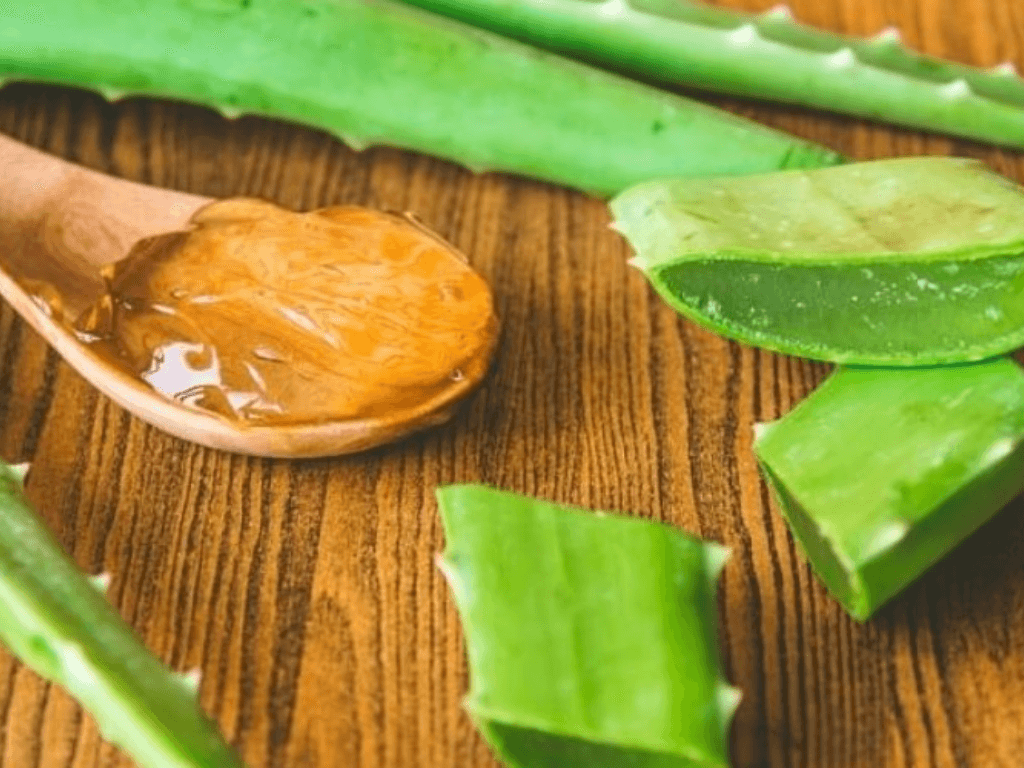 cach-lam-nha-dam-mat-ong-chua-benh-dung-cach-tai-nha