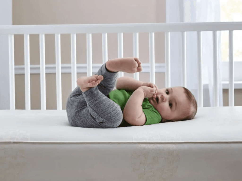 meo-su-dung-va-bao-quan-dem-cui-de-be-luon-ngu-ngon