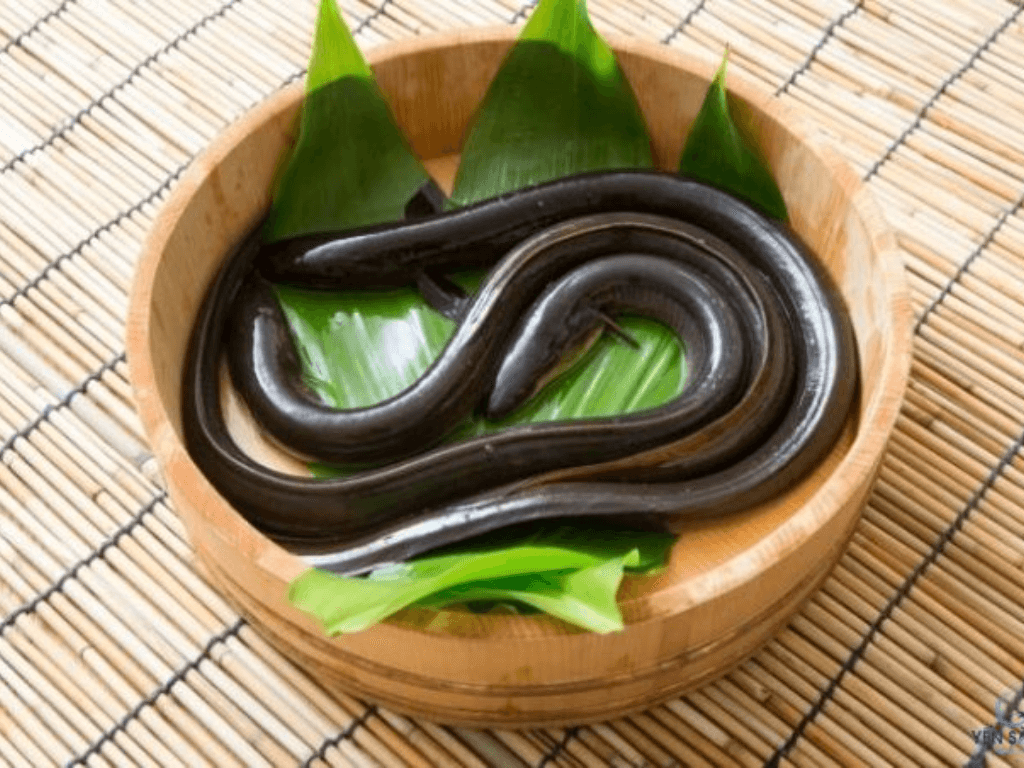 danh-sach-thuc-pham-ky-voi-luon