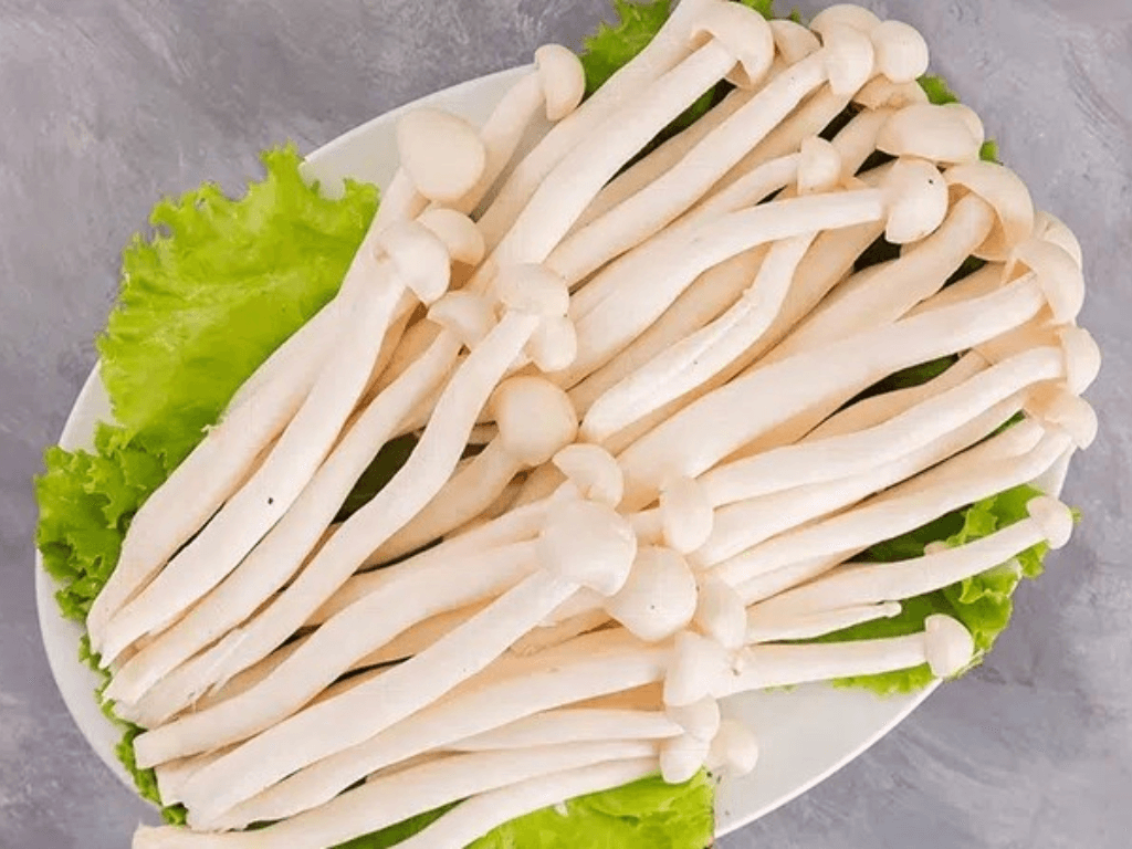 gia-tri-dinh-duong-va-dac-diem-cua-nam-bach-tuyet