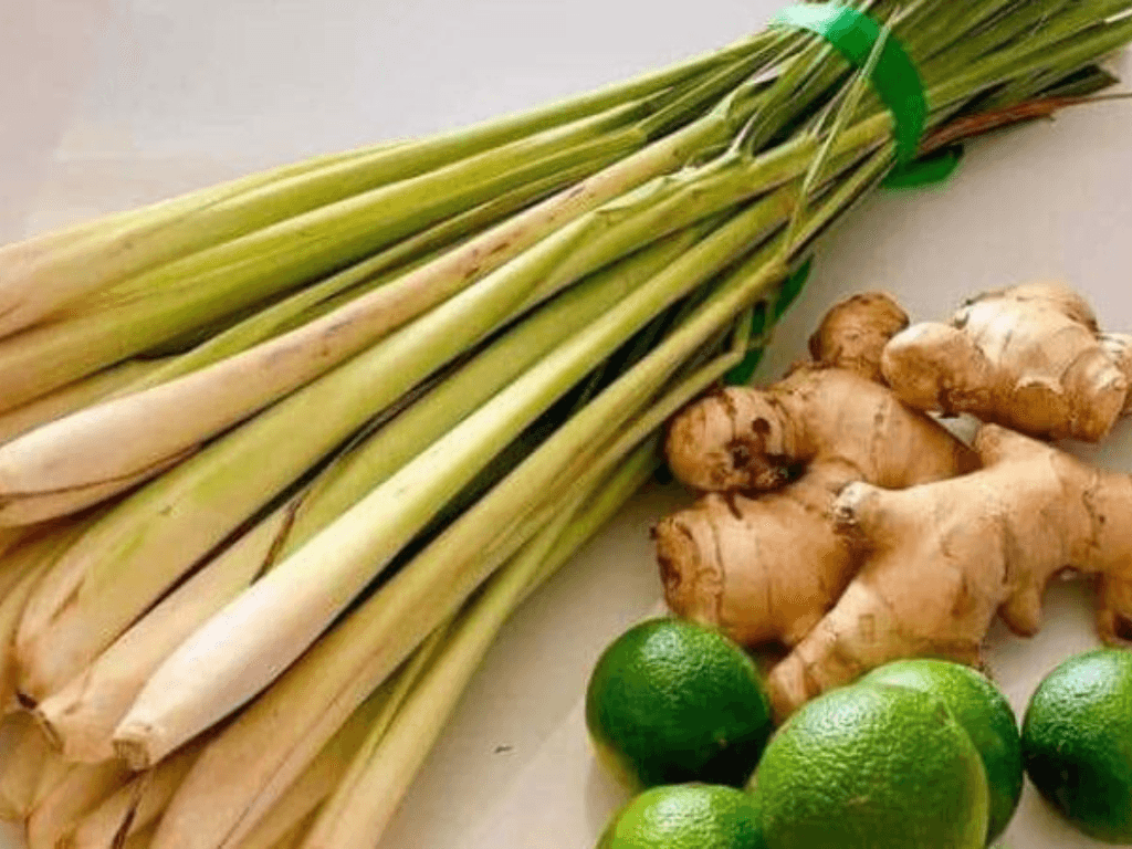 nguyen-lieu-can-chuan-bi-cho-mon-tra-gung-sa-thom-ngon