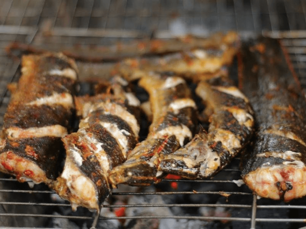 nhung-luu-y-khi-chon-va-so-che-ca-chach